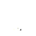 tt999